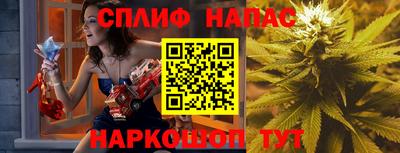гидра Краснодар