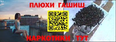 гидра Краснодар